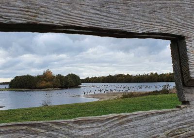 Vogeluitkijkpunt Bargerveen